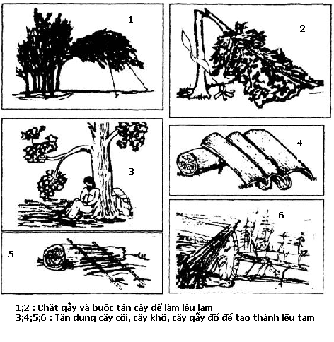 [Kỹ năng sinh tồn] Phần 5: Cách dựng nơi trú ẩn 6