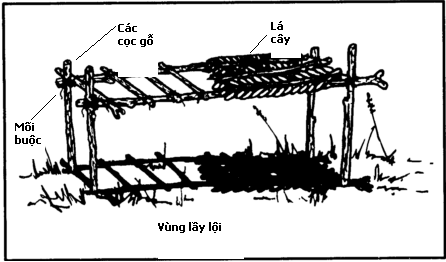 [Kỹ năng sinh tồn] Phần 5: Cách dựng nơi trú ẩn 7